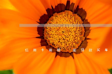 信用卡逾期 能贷款买车么 信用卡逾期 能贷款买车么